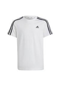 Adidas - Essentials 3-Stripes Cotton Tee. Kolor: biały, czarny, wielokolorowy