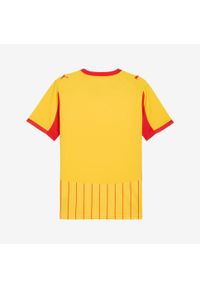Koszulka piłkarska dla dzieci Puma RC Lens 24/25 domowa. Materiał: materiał. Sport: piłka nożna