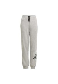 Adidas - Spodnie dziecięce adidas Essentials Big Logo. Kolor: czarny, szary, wielokolorowy. Sport: joga i pilates