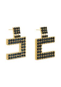 Elisabetta Franchi Kolczyki OR-07-B46E2-V220 Złoty. Materiał: złote. Kolor: złoty #3