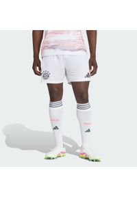 Adidas - Szorty FC Bayern 25/26 Away. Kolor: biały