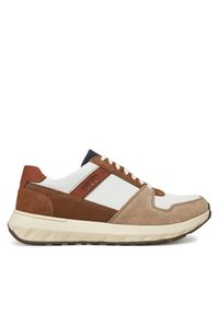 Sneakersy Josef Seibel. Kolor: brązowy