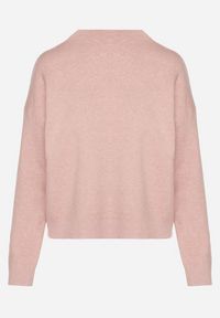Born2be - Różowy Gładki Sweter o Pudełkowym Kroju ze Stójką Unessa. Okazja: na co dzień. Typ kołnierza: kołnierzyk stójkowy. Kolor: różowy. Materiał: jeans. Wzór: gładki. Styl: casual #4