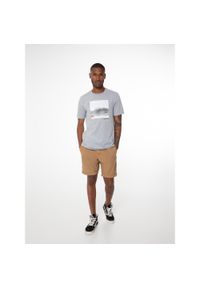 T-shirt męski Protest PRTJOKKUM. Kolor: szary. Wzór: nadruk. Sezon: lato. Sport: turystyka piesza #1