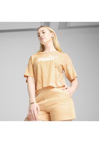 Puma - Damska luźna koszulka z logo NO.1 ESS Cropped PUMA Almost Apricot Orange. Kolor: pomarańczowy, wielokolorowy, żółty. Materiał: jeans. Wzór: nadruk. Sport: fitness