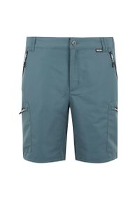 Szorty Regatta Leesville III. Kolor: czarny, niebieski, wielokolorowy. Długość: krótkie. Sport: turystyka piesza #1