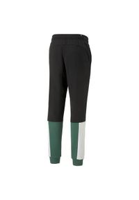 Spodnie sportowe męskie Puma Ess Block Sweatpants. Kolor: czarny. Materiał: dresówka