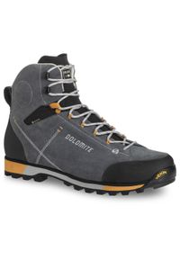 Buty trekkingowe męskie Dolomite Cinquantaquattro Hike Evo GTX. Kolor: niebieski, szary. Sport: turystyka piesza #1