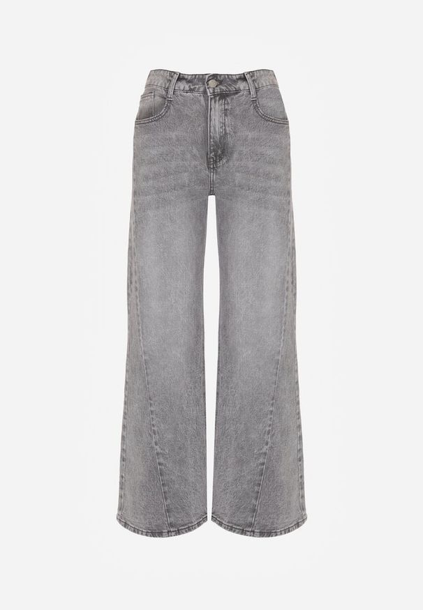 Born2be - Szare Bawełniane Jeansy o Szerokim Kroju z Wysokim Stanem i Przetarciami Ryrixia. Okazja: na co dzień. Stan: podwyższony. Kolor: szary. Wzór: nadruk. Styl: klasyczny, casual