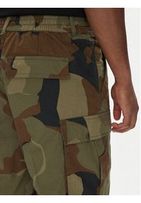 DC Szorty materiałowe Tundra ADYWS03086 Zielony Regular Fit. Kolor: zielony. Materiał: bawełna #4