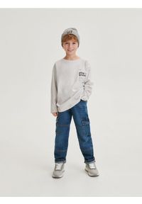 Reserved - Longsleeve oversize z nadrukiem - jasnoszary. Kolor: szary. Materiał: dzianina, bawełna. Długość rękawa: długi rękaw. Wzór: nadruk