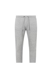 Stedman - Spodnie Do Biegania Dla Dorosłych Unisex Heather Plain Recycled. Kolor: szary