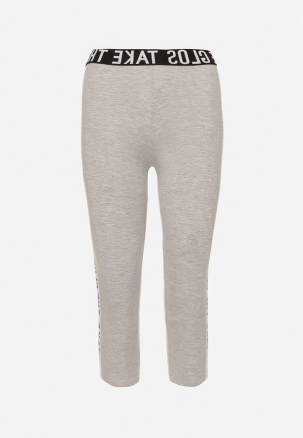 Born2be - Szare Bawełniane Legginsy o Długości 3/4 z Niskim Stanem i Lampasem Obessina. Okazja: na co dzień, na spacer. Stan: obniżony. Kolor: szary. Materiał: bawełna. Styl: casual