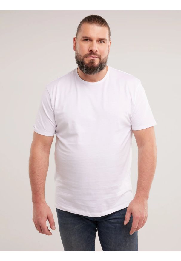 Big-Star - Koszulka męska bawełniana biała Basic 101. Kolor: biały. Materiał: bawełna. Wzór: gładki. Styl: klasyczny