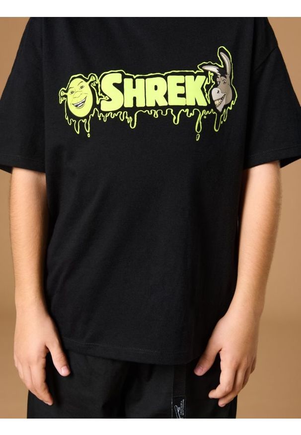 Sinsay - Koszulka Shrek - czarny. Kolor: czarny. Materiał: bawełna. Wzór: nadruk