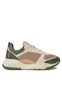 Ted Baker Sneakersy 257320 Kolorowy. Materiał: skóra. Wzór: kolorowy