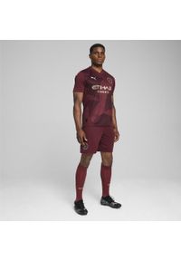 Puma - Męska trzecia koszulka Manchester City 24/25 PUMA Dark Jasper Red. Kolor: czerwony