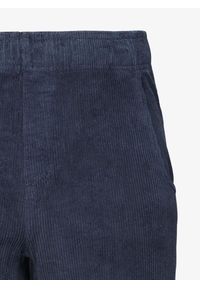 Spodenki wspinaczkowe męskie Black Diamond Dirtbag Corduroy Shorts. Kolor: niebieski. Sport: turystyka piesza