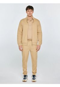 Big-Star - Koszulka męska polo beżowa Wladym 801. Okazja: na co dzień. Typ kołnierza: polo. Kolor: beżowy. Materiał: dzianina, bawełna, jeans, materiał. Wzór: nadruk, aplikacja, paski. Styl: elegancki, casual, klasyczny, sportowy, wizytowy #8