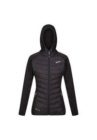 Regatta - Damska Kurtka Hybrydowa Andreson VIII. Kolor: czarny. Sport: turystyka piesza #1