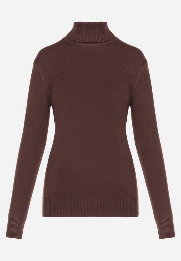 Born2be - Brązowy Golf z Wełną o Klasycznym Fasonie Zozilya. Okazja: na co dzień. Typ kołnierza: golf. Kolor: brązowy. Materiał: wełna. Długość rękawa: długi rękaw. Długość: długie. Styl: klasyczny