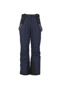 Spodnie narciarskie damskie Whistler Fairway W-PRO 10000. Kolor: niebieski. Sezon: zima. Sport: narciarstwo #1