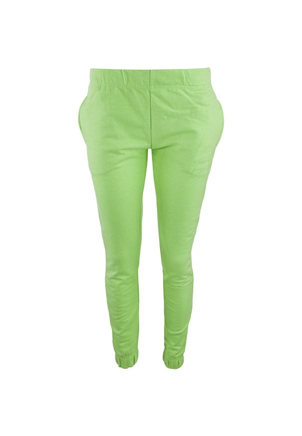 THE RUNNING REPUBLIC - Spodnie dresowe damskie THE PEOPLE REP. Diama – Jasnozielone, S. Kolor: zielony. Materiał: dresówka. Sport: bieganie