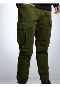 Sinsay - Jeansy regular jogger cargo - zielony. Kolor: zielony
