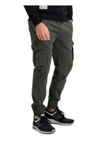 Alpha Industries Joggery Twill 116202 Szary Regular Fit. Kolor: szary. Materiał: bawełna