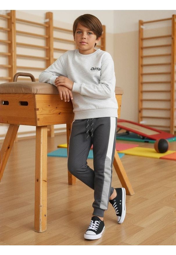 Sinsay - Spodnie dresowe z kolorowymi lampasami - szary. Kolor: szary. Materiał: dresówka. Wzór: kolorowy
