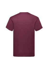 FRUIT OF THE LOOM - Oryginalna Koszulka Męska. Kolor: czerwony, wielokolorowy, brązowy
