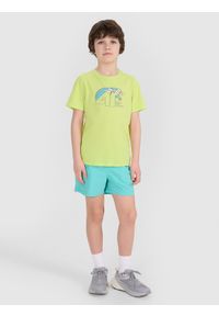 4f - 4F T-shirt regular z nadrukiem chłopięcy - zielony 122 (6-7 lat). Okazja: na co dzień. Kolor: zielony. Materiał: bawełna, materiał, jersey. Długość rękawa: krótki rękaw. Długość: krótkie. Wzór: nadruk. Sezon: lato. Styl: klasyczny, sportowy, casual