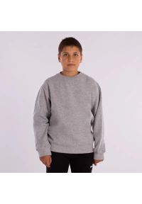 Bluza dziecięca Softee Owen. Kolor: szary #1