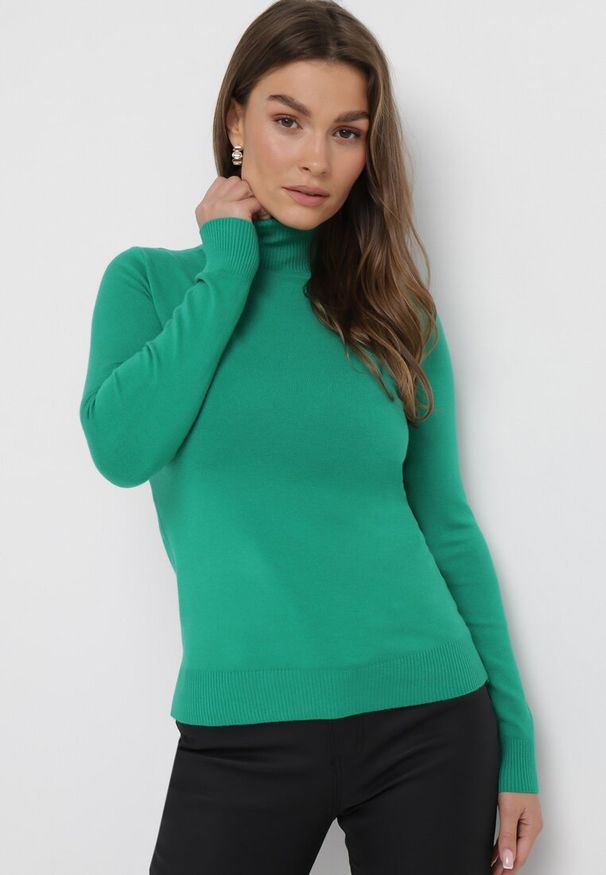 Born2be - Zielony Sweter Golf o Dopasowanym Fasonie Bewina. Typ kołnierza: golf. Kolor: zielony. Materiał: dzianina, tkanina. Długość rękawa: długi rękaw. Długość: długie. Wzór: aplikacja, gładki