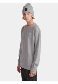 Sweter męski O'Neill Small Logo Crew. Kolor: szary
