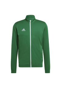 Adidas - Bluza piłkarska męska adidas Entrada 22 Track Jacket. Kolor: wielokolorowy, zielony, biały. Materiał: materiał. Sport: piłka nożna
