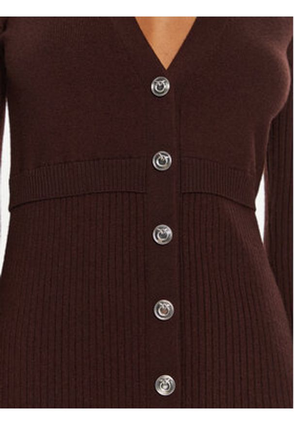 Pinko Sukienka dzianinowa Riserva 104017 A15S Brązowy Regular Fit. Kolor: brązowy. Materiał: wełna
