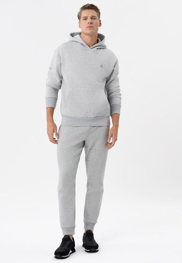Volcano - Spodnie dresowe joggery N-BASO. Kolor: szary. Materiał: dresówka