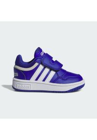 Adidas - Hoops Shoes. Kolor: biały, wielokolorowy, niebieski. Sport: tenis