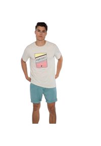 Krótka Protest Fan. Kolor: szary, niebieski, wielokolorowy. Długość: krótkie. Sport: turystyka piesza #1