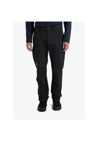 Haglöfs - Spodnie softshell męskie Haglofs Moran Softshell Standard Pant. Kolor: czarny. Materiał: softshell. Sport: turystyka piesza