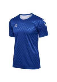 Koszulka Hummel Legend. Kolor: niebieski. Sport: piłka nożna #1