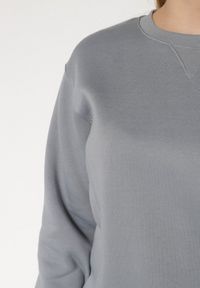 Born2be - Szara Bluza z Bawełną Ozdobiona Przeszyciami Fezoria. Okazja: na co dzień. Kolor: szary. Materiał: bawełna. Wzór: aplikacja. Styl: casual, klasyczny #7