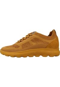 Tenisówki Geox Model D Spherica Kolor żółty. Kolor: żółty. Materiał: tkanina, skóra
