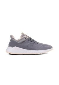 Buty do chodzenia damskie Reebok Ever Road Dmx 20 L. Zapięcie: sznurówki. Kolor: szary. Materiał: materiał, syntetyk. Szerokość cholewki: normalna. Sport: turystyka piesza
