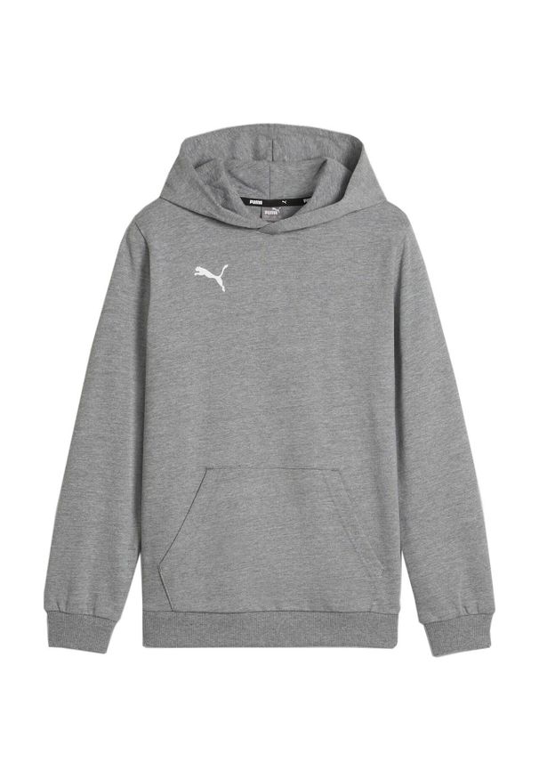 Puma - Bluza Z Kapturem Dziecięca Team Goal Casual. Typ kołnierza: kaptur. Kolor: szary