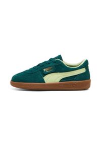 Trenerzy dla dzieci Puma Palermo. Kolor: zielony. Sezon: lato