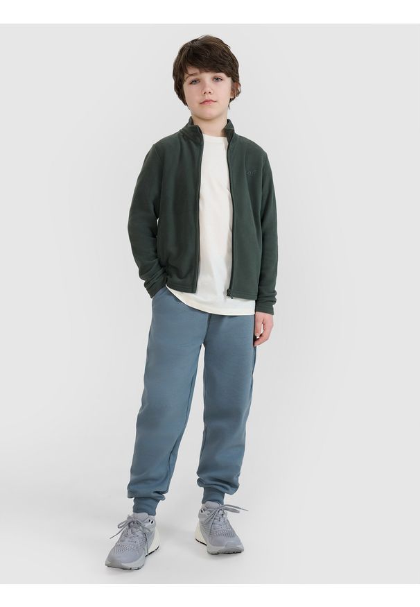 4f - 4F Polar regular ze stójką chłopięcy - zielony 164 (13-14 lat). Typ kołnierza: kołnierzyk stójkowy. Kolor: zielony. Materiał: polar. Wzór: gładki. Sezon: lato. Sport: wspinaczka, turystyka piesza, snowboard, narciarstwo