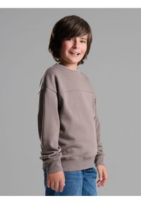 Sinsay - Bluza crewneck basic - brązowy. Kolor: brązowy