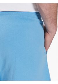 Tommy Jeans Szorty sportowe DM0DM16330 Niebieski Regular Fit. Kolor: niebieski. Materiał: bawełna. Styl: sportowy